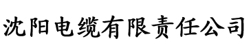 大香蕉av在线免费观看电缆厂logo